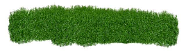 saratoga-springs-landscaping-640x480-38666338.png