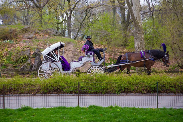Saratoga Springs NY Banks