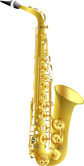 Schenectady Concerts