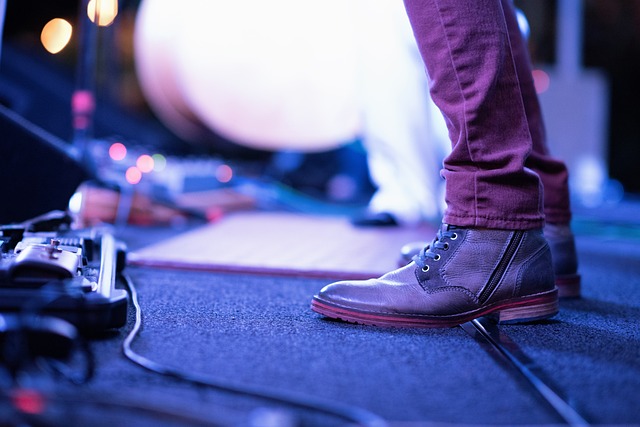 Schenectady Concerts
