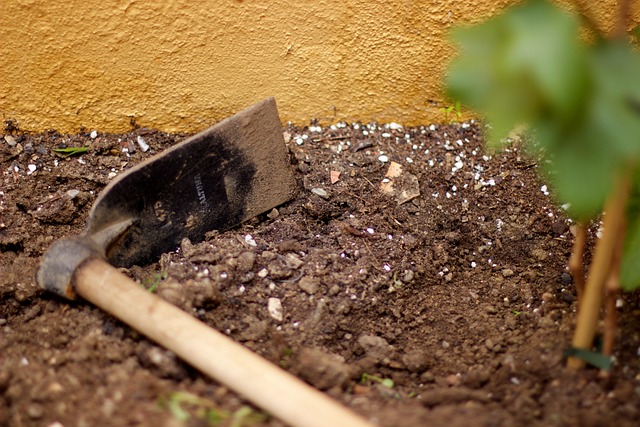 Schenectady Landscaping