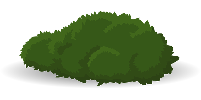 Schenectady Landscaping