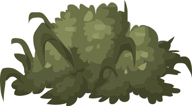 Schenectady Landscaping