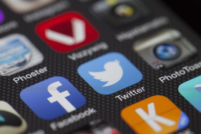 social media management agency Albany