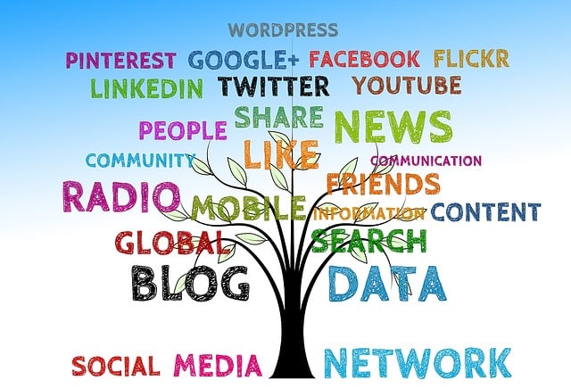 social media management agency Albany