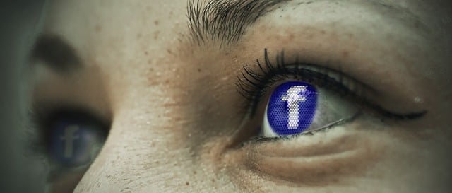 social media management agency Albany