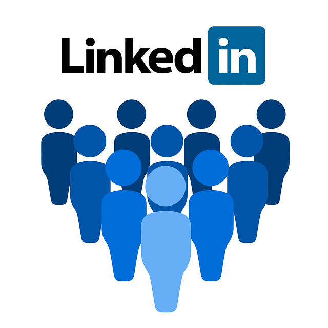 social media management agency Albany