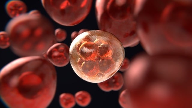 stem-cell-culture-media-640x480-18862597.jpeg