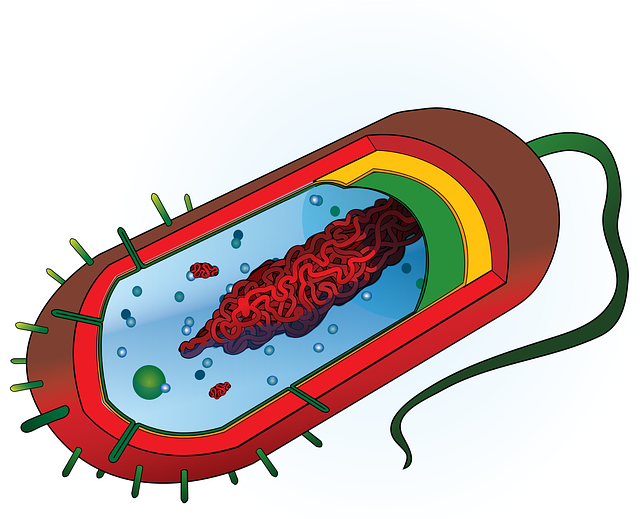 stem-cell-culture-media-640x480-23342787.png