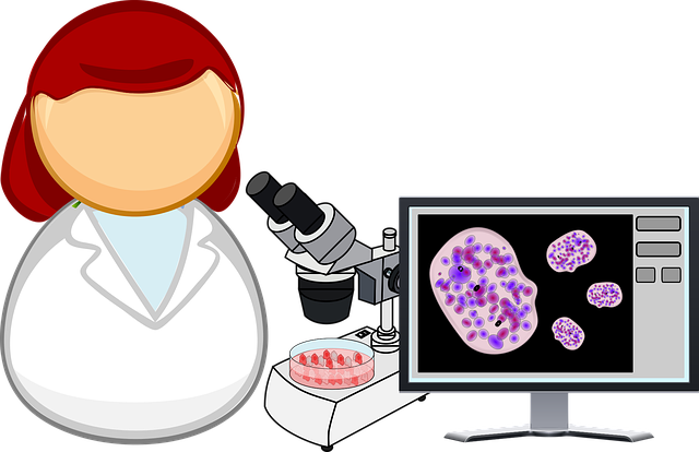 stem cell culture media