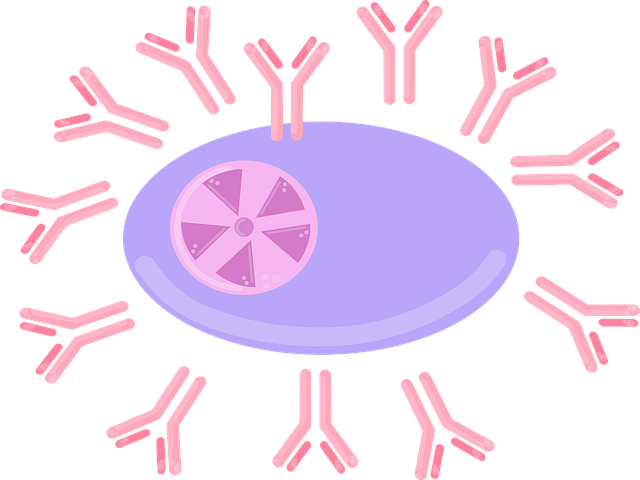 stem cell culture media