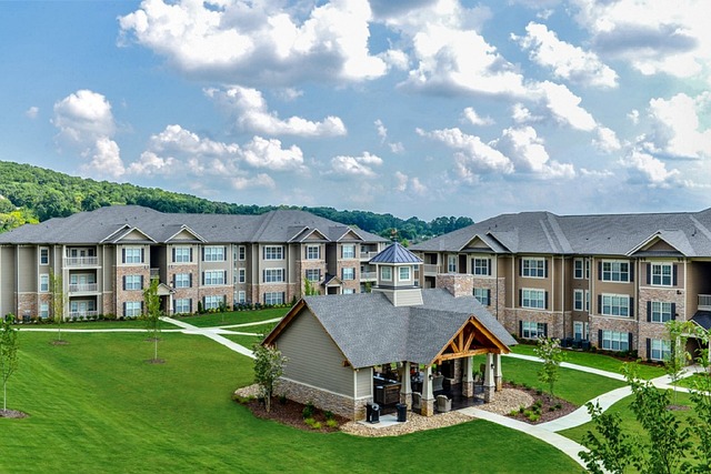 1 bedroom apartments for rent in Albany