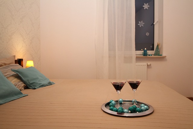 1 bedroom apartments for rent in Albany