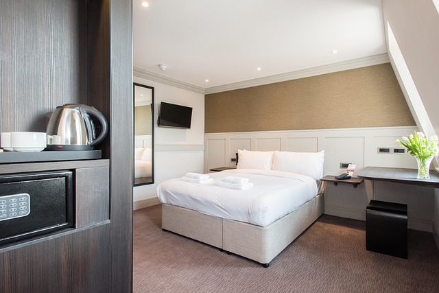 1 bedroom apartments for rent in Albany