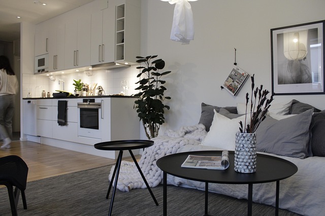 1 bedroom apartments for rent in Albany