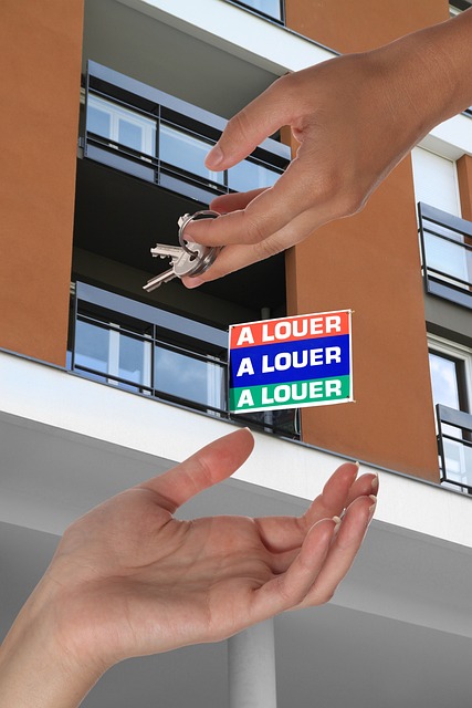 advertising agency Albany