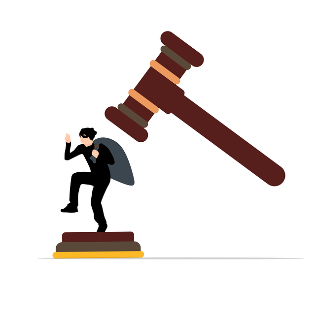 Albany Criminal Justice Legal Aid