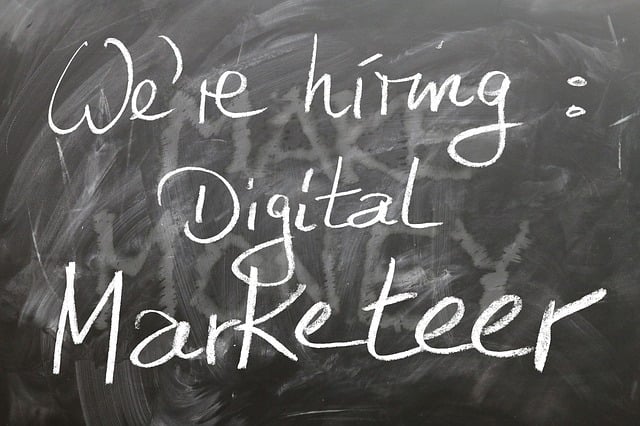 Albany Digital Marketing Agencies