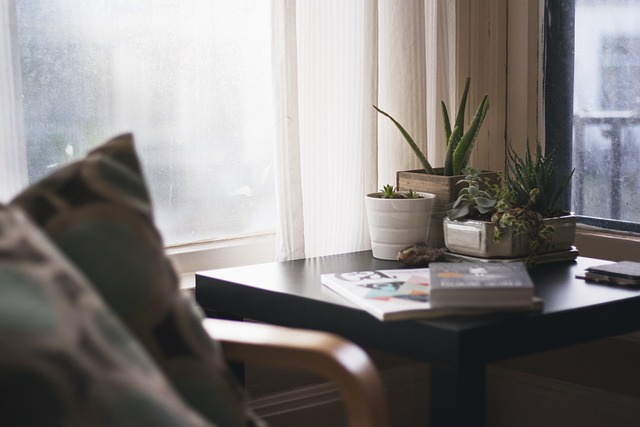 Albany Interior Design Firm
