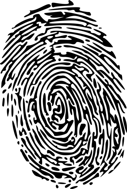 Albany NY Criminal Law Firm
