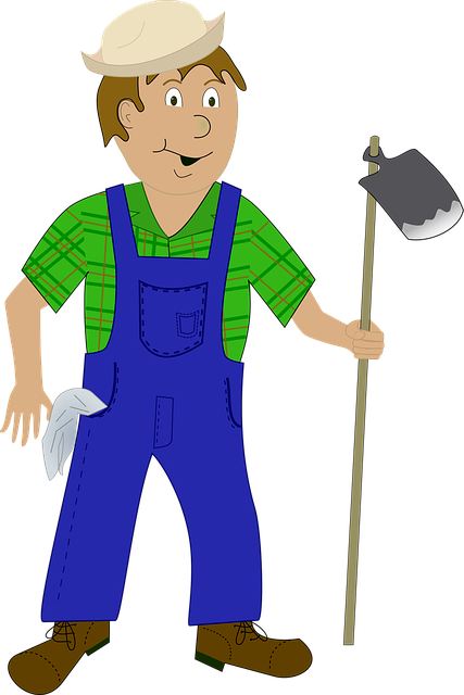Albany workers comp process guide