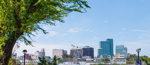 Apartments for rent downtown Albany