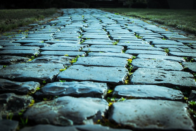 asphalt paving cost Albany
