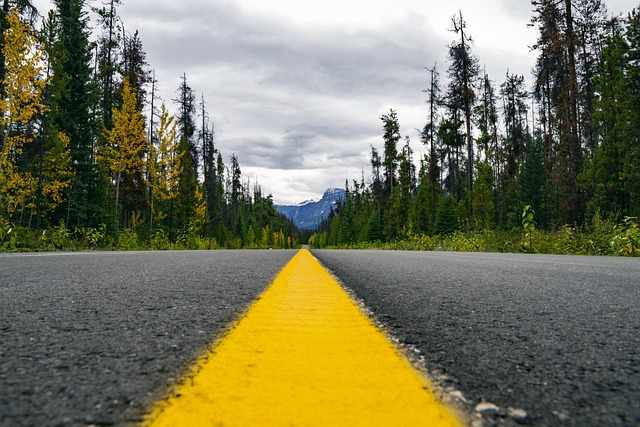 asphalt paving cost Albany