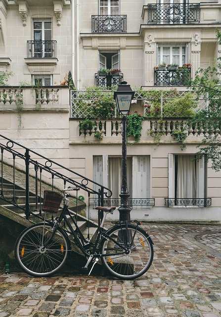 Best apartments in Albany for rent