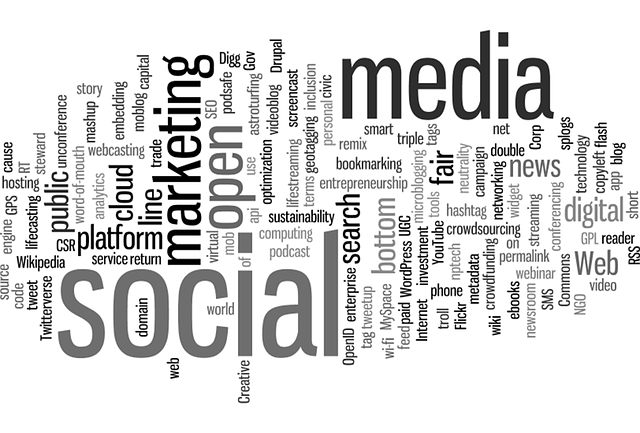 best digital marketing agency Albany