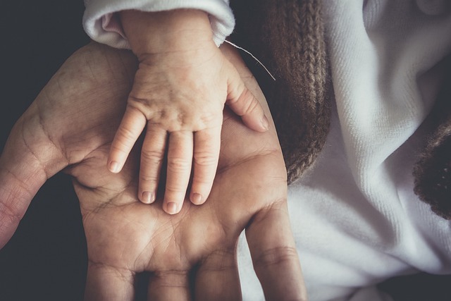 Child custody attorney Albany