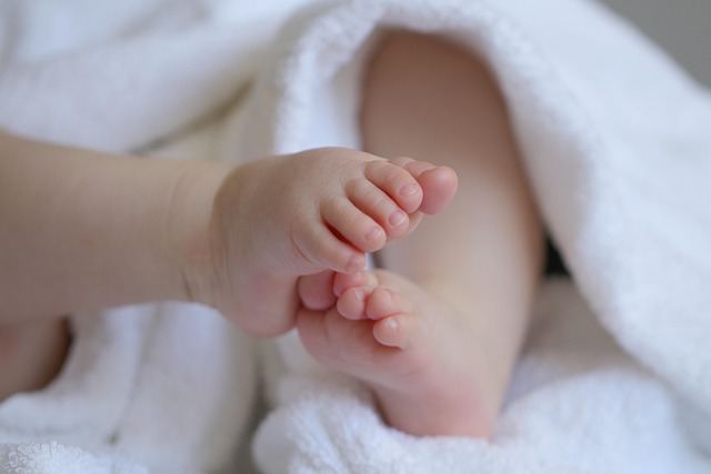 Child Custody Lawyer Albany, NY