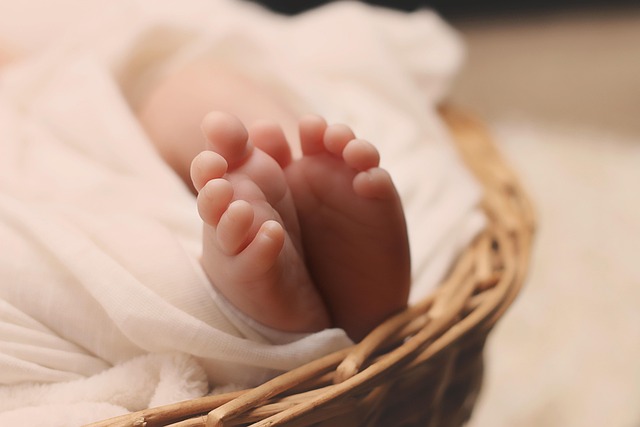 Child Custody Lawyer Albany, NY