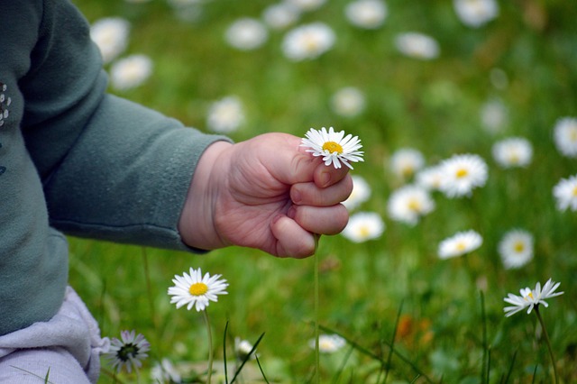 child-custody-lawyer-albany-ny-640x480-70875094.jpeg