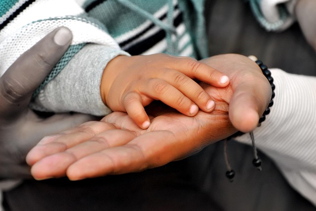 Child Support Lawyer Albany
