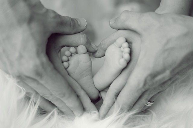 Child Support Lawyer Albany