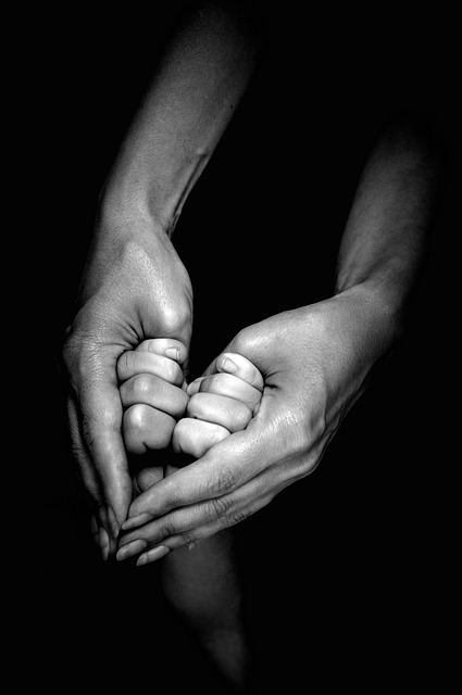 Child Support Lawyer Albany