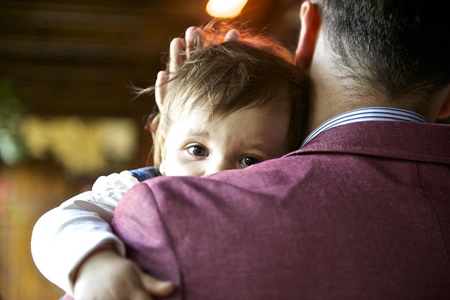 Child Support Lawyer Albany