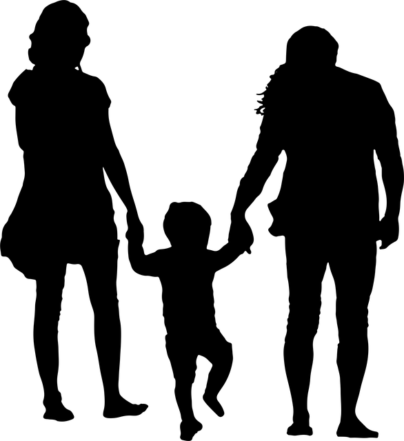 child-support-lawyer-albany-640x480-40432341.png