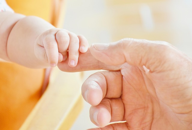 Child Support Lawyer Albany