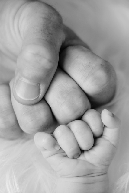 Child Support Lawyer Albany