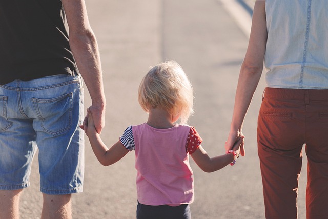 Child Support Lawyer Albany