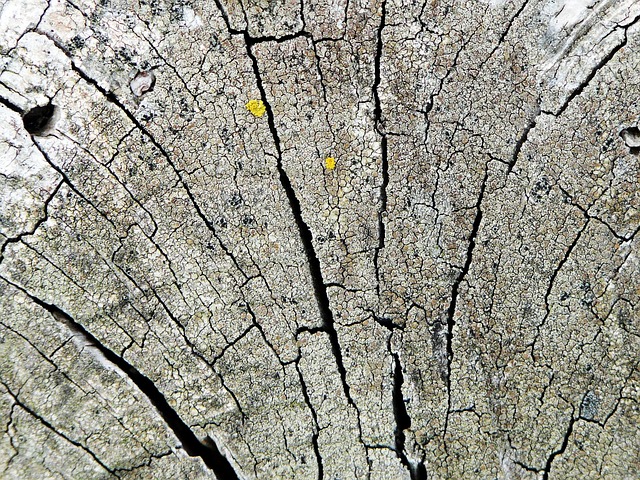 crack sealing Albany