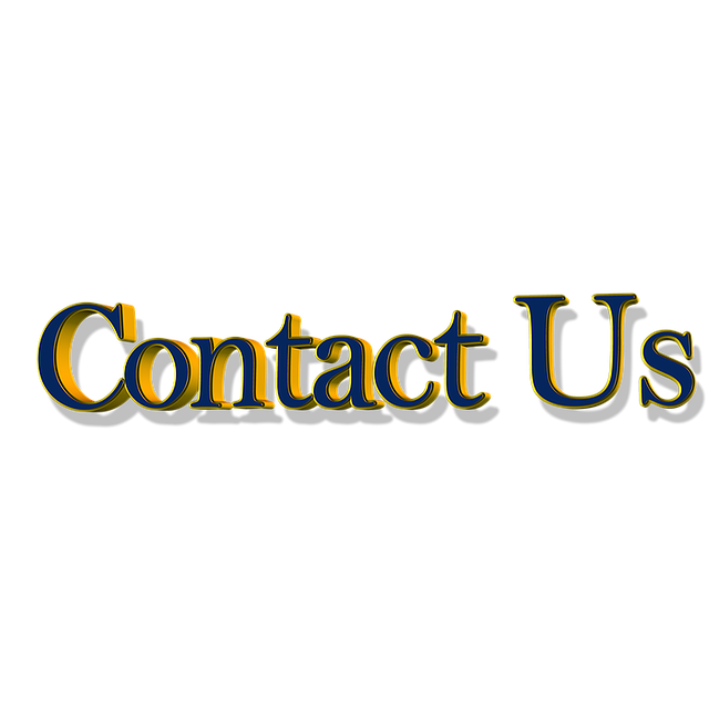 custom website design Albany