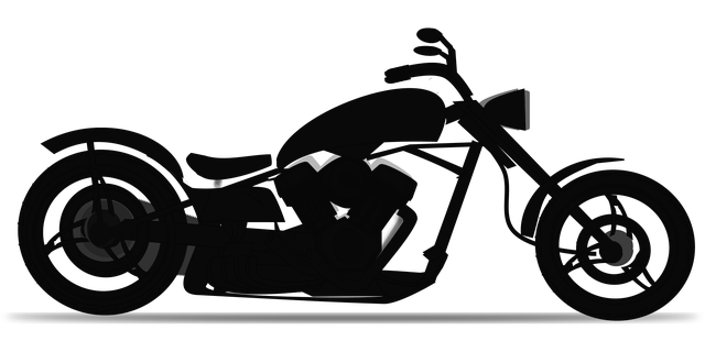 custom website design Albany