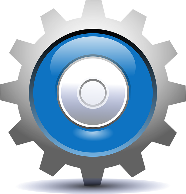 custom website design Albany