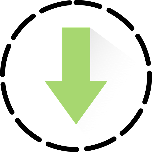 custom website design Albany