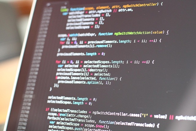 custom website design Albany