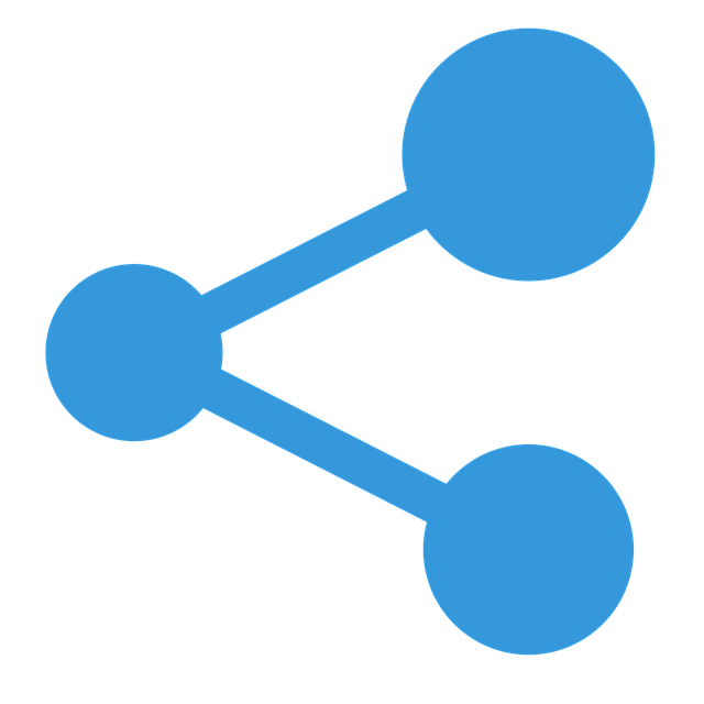 custom website design Albany