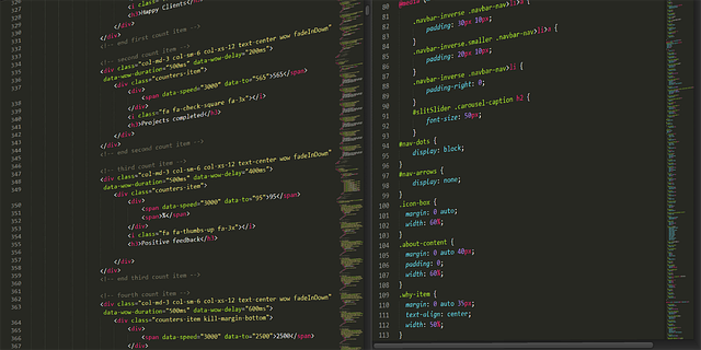 custom website design Albany
